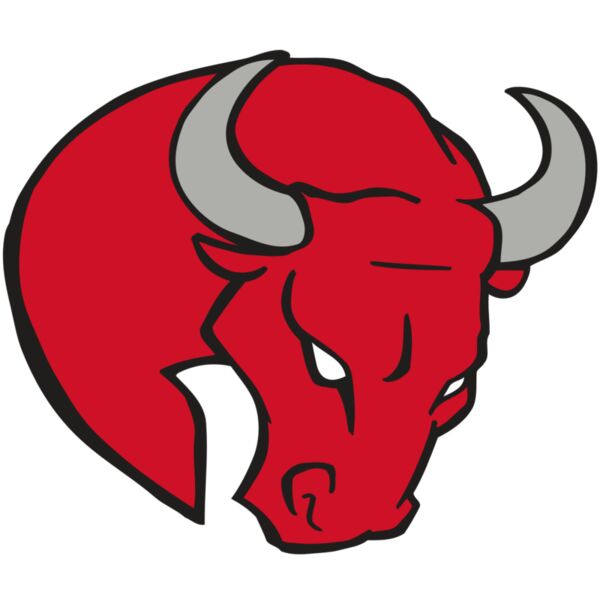 AR BULL 24 RC Thumbnail